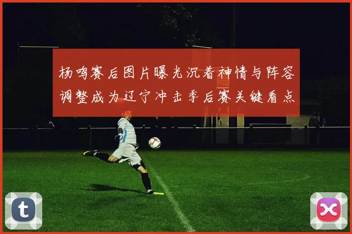 杨鸣赛后图片曝光沉着神情与阵容调整成为辽宁冲击季后赛关键看点