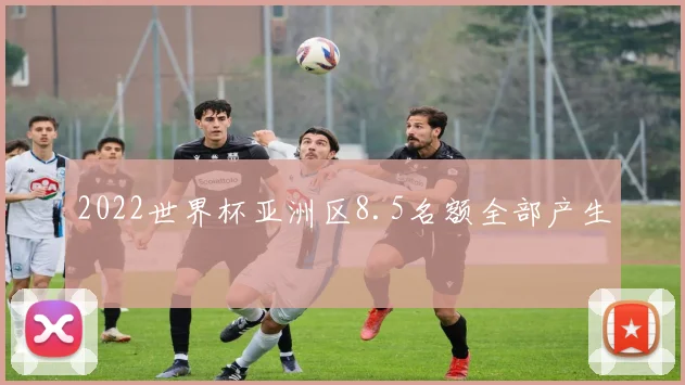 2022世界杯亚洲区8.5名额全部产生