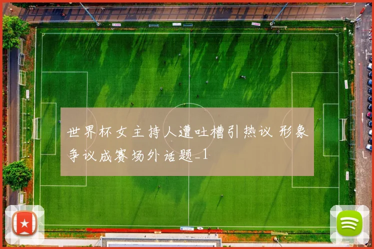 世界杯女主持人遭吐槽引热议 形象争议成赛场外话题_1